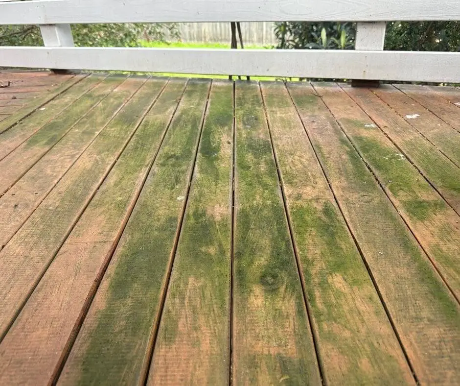 remove mold from deck